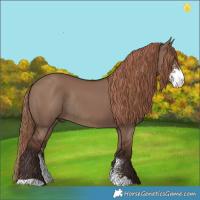Horse Color:Liver Red Dun Sabino Rabicano
