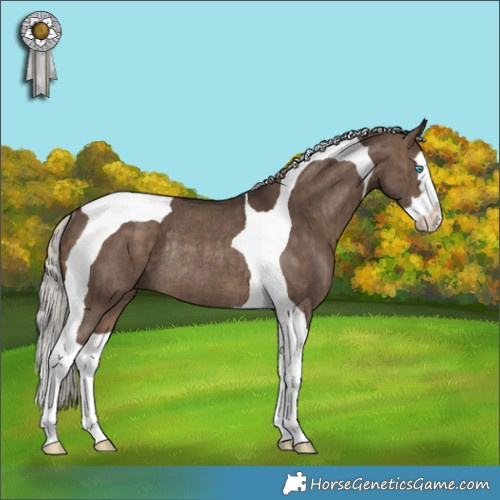 Horse Color:Silver Brown Dun Splash Tobiano Rabicano Brindle 