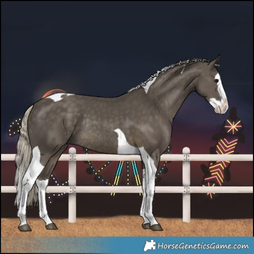 Horse Color:Silver Smoky Black Splash Tobiano Rabicano 