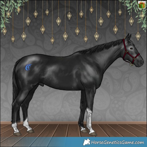 Horse Color:Gray Brown Tobiano Rabicano 
