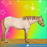 Horse Color:Red Roan 