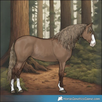Horse Color:Liver Red Dun Sabino Rabicano 
