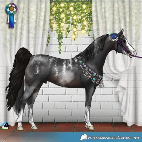 Horse Color:Powder White Brown Sabino Rabicano 