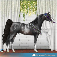 Horse Color:Powder White Brown Sabino Rabicano 