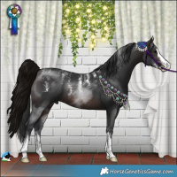 Horse Color:Powder White Brown Sabino Rabicano 