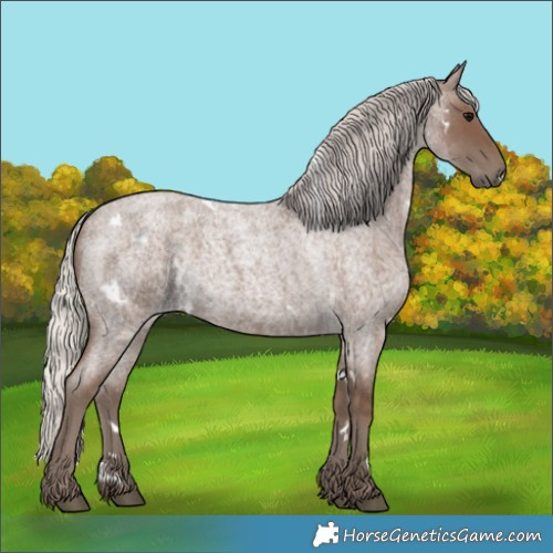 Horse Color:White Spotted Silver Blue Roan 