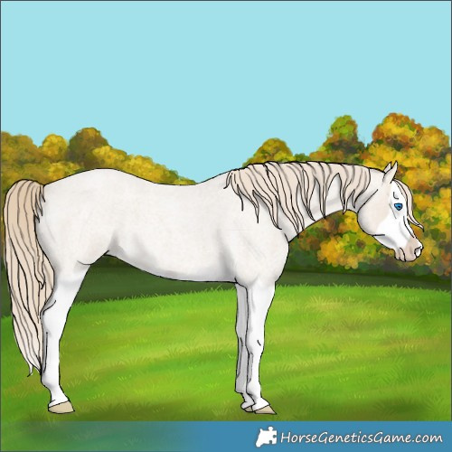Horse Color:Smoky Creme Roan Splash