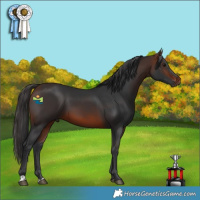 Horse Color:Brown 