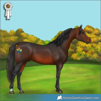 Horse Color:Brown 