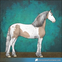 Horse Color:Silver Brown Dun Splash Tobiano
