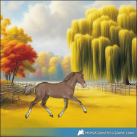 Horse Color:Liver Red Dun Sabino Rabicano 