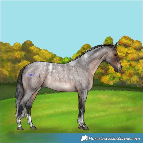 Horse Color:Powder White Brown Roan Rabicano 