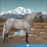 Horse Color:Silver Bay Roan 