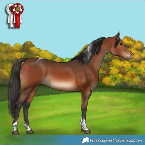 Horse Color:Bay Tobiano Rabicano 