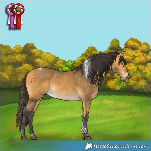 Horse Color:Buckskin Tobiano Rabicano 