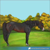 Horse Color:Brown Splash 