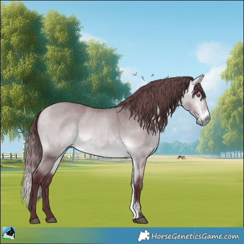 Horse Color:Chocolate Buckskin Chinchilla Sabino Rabicano 