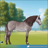 Horse Color:Chocolate Bay Chinchilla Rabicano 