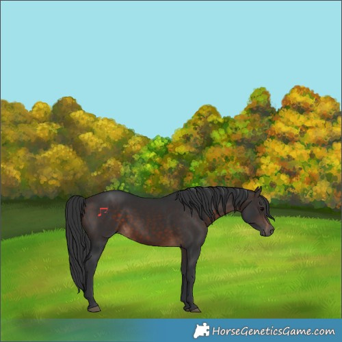 Horse Color:Brown 