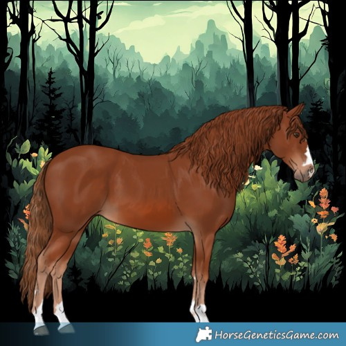 Horse Color:Chestnut 