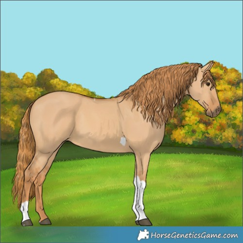 Horse Color:Red Dun Tobiano 