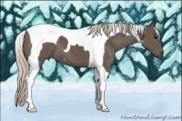 Horse Color:Silver Black Tobiano 