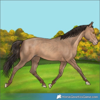 Horse Color:Sable Champagne 