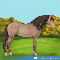 Horse Color:Amber Champagne 