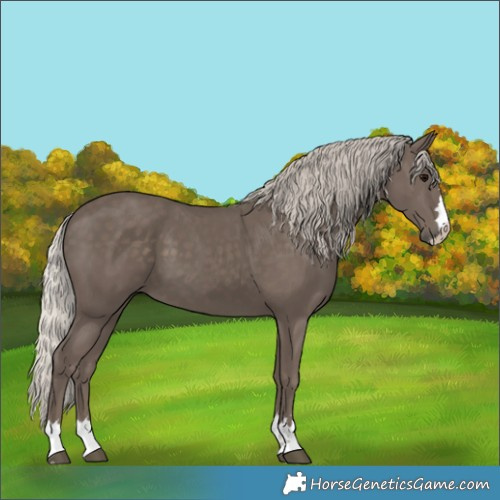 Horse Color:Silver Black 