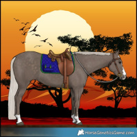 Horse Color:Silver Black 