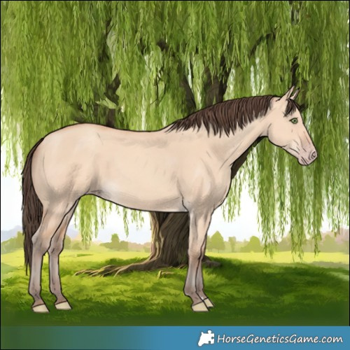 Horse Color:Amber Champagne Dun Rabicano 