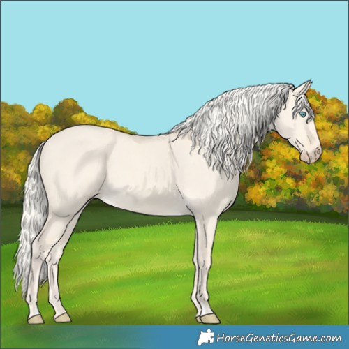 Horse Color:Cremello Dun 