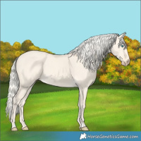 Horse Color:Cremello Dun 