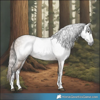 Horse Color:Gray White Spotted Liver Red Dun 