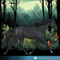 Horse Color:Black 