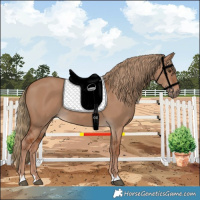 Horse Color:Red Dun 
