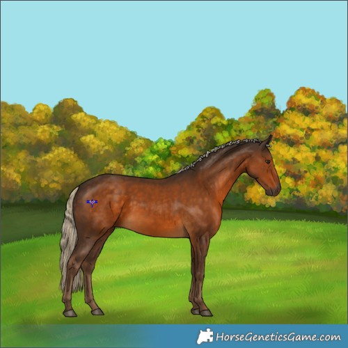 Horse Color:Gray Chocolate Palomino 