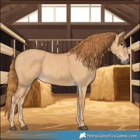 Horse Color:Red Dun 