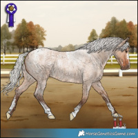 Horse Color:Powder White Silver Bay Roan Dun
