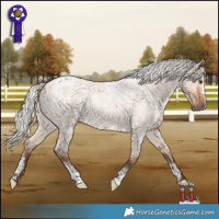 Horse Color:Powder White Silver Bay Roan Dun