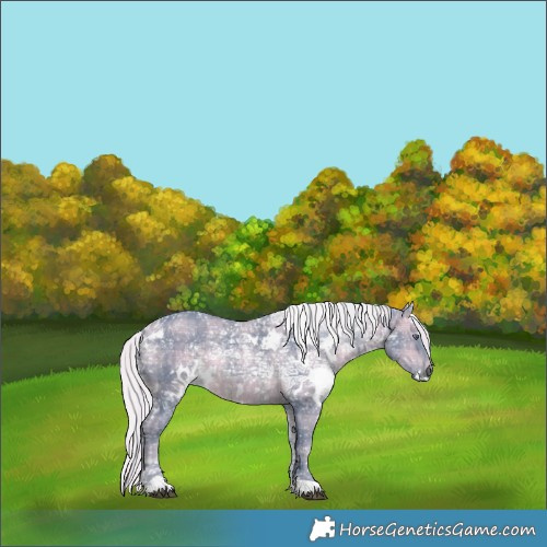 Horse Color:Watercolor Plaid  White Spotted Silver Brown Chinchilla Ice 
