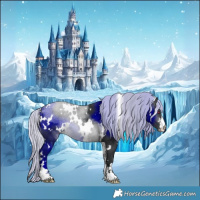 Horse Color:White Spotted Silver Brown Chinchilla 