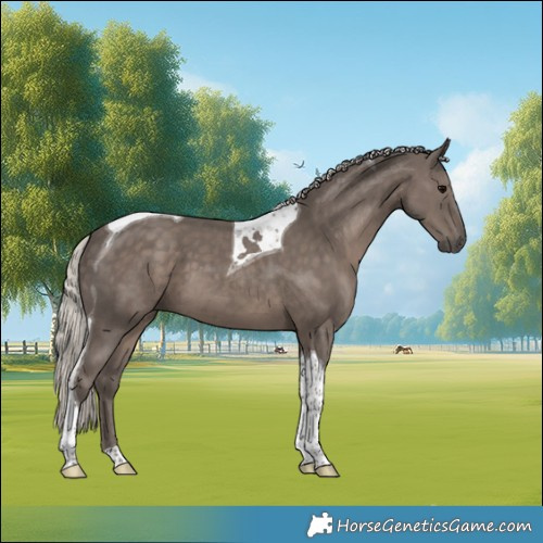 Horse Color:Silver Black Tobiano 