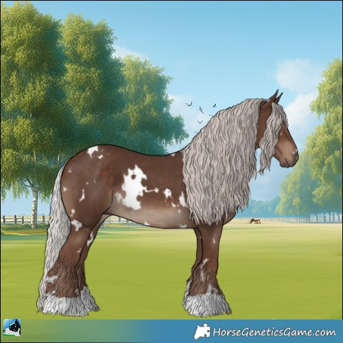 Horse Color:White Spotted Silver Black 