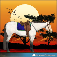 Horse Color:Buckskin Roan