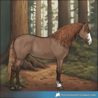 Horse Color:Liver Red Dun Sabino Rabicano 