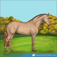 Horse Color:Red Dun 
