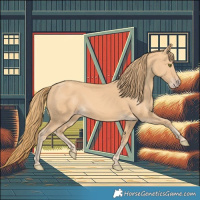 Horse Color:Gold Champagne Rabicano 