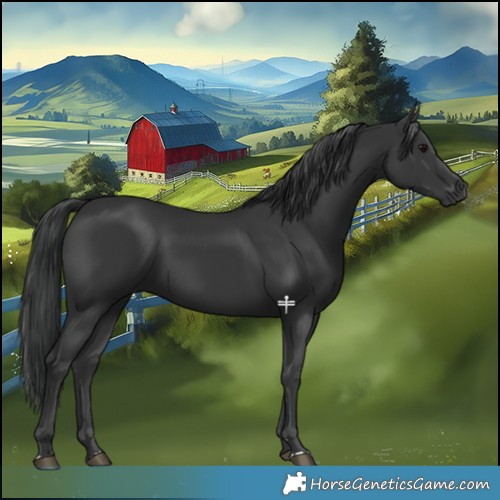 Horse Color:Black Rabicano 