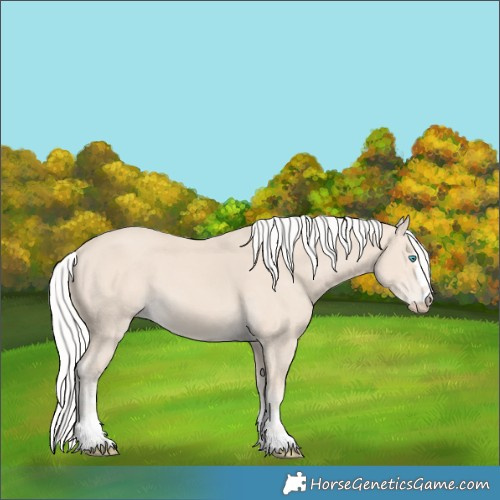 Horse Color:Silver Smoky Creme 